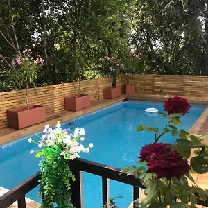 book here
